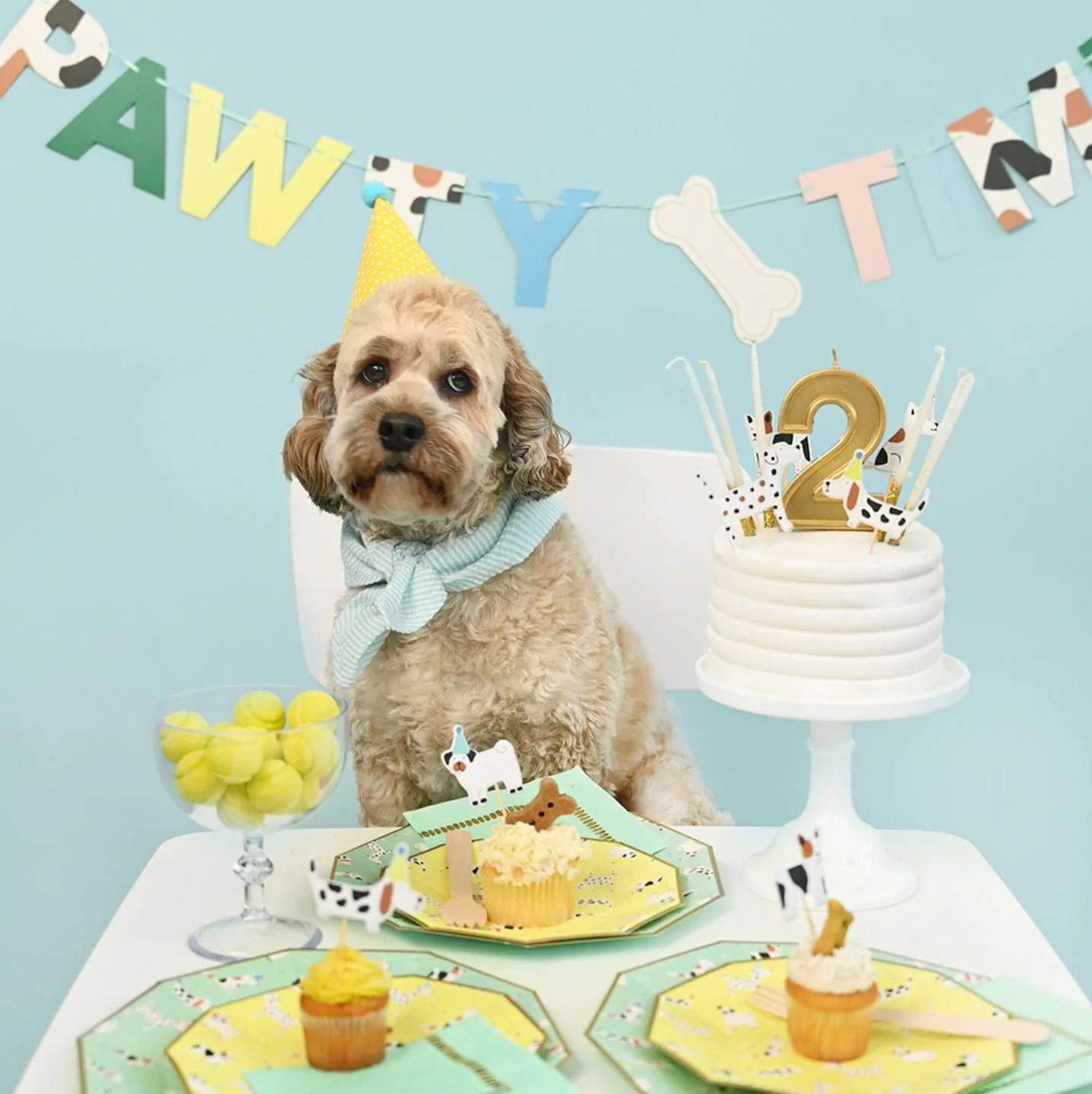 Hot Diggity Dog Small Decagon Paper Party Plates - 10pk
