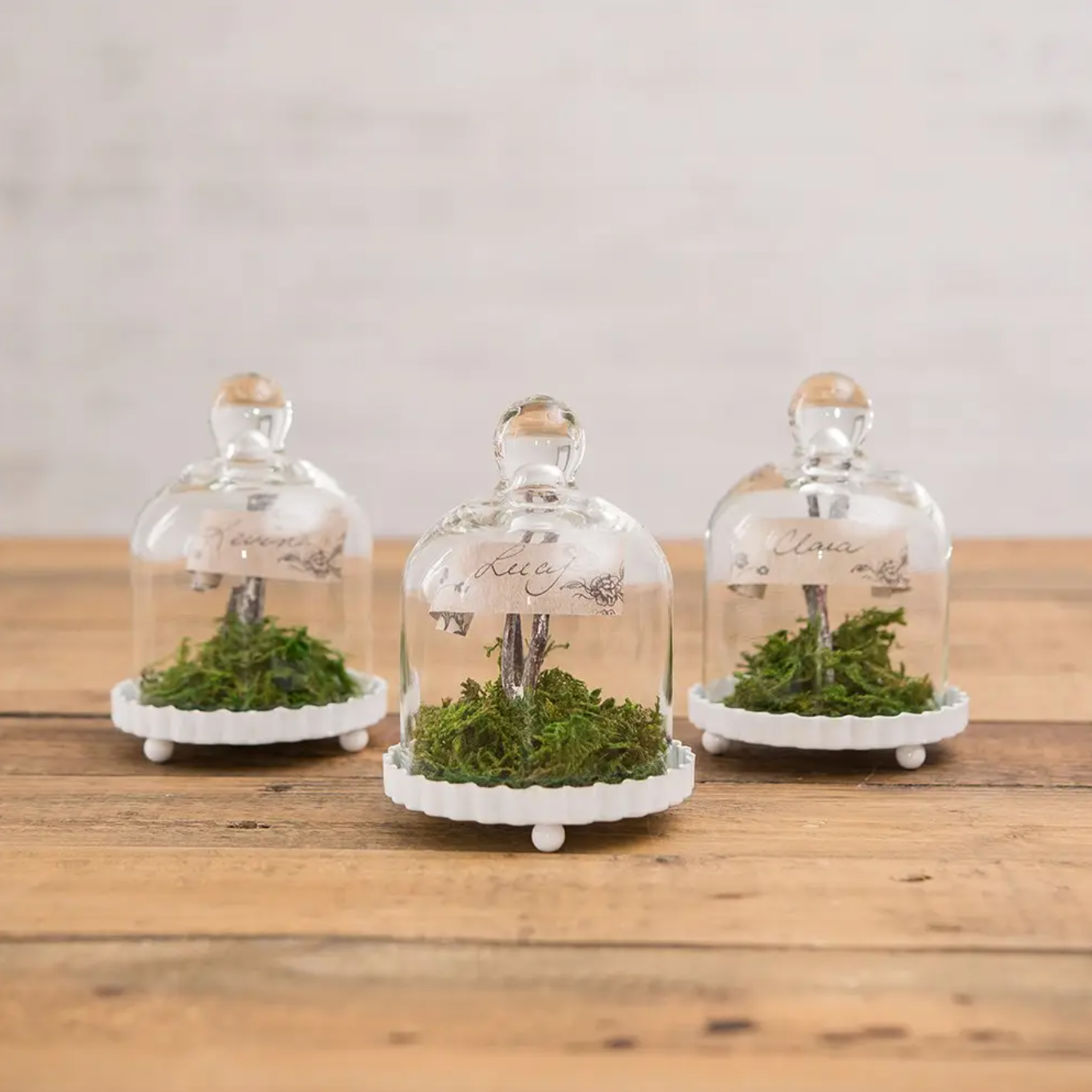 Small Glass Bell Jar Wedding Party Favors - 4pk