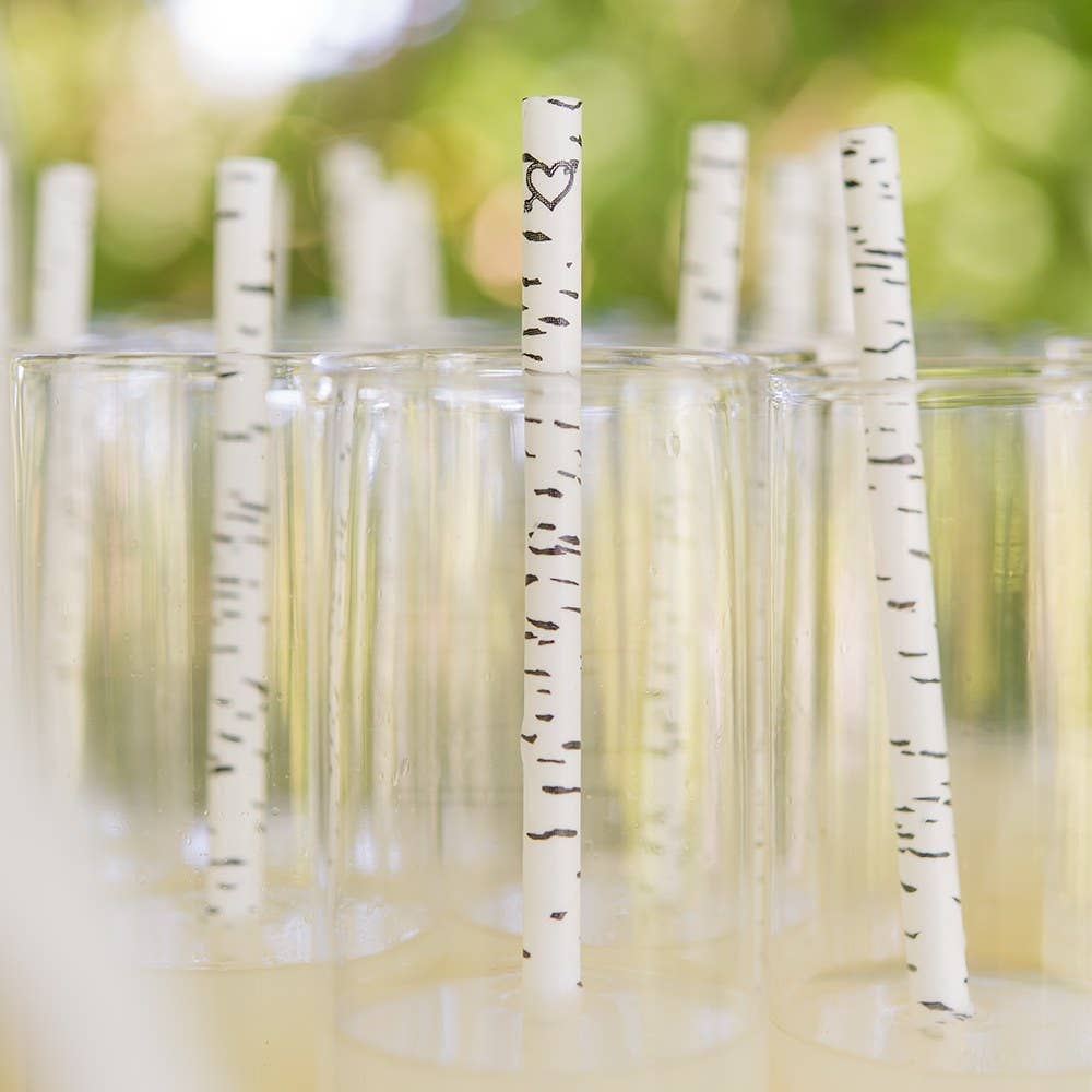 Straws & Stir Sticks