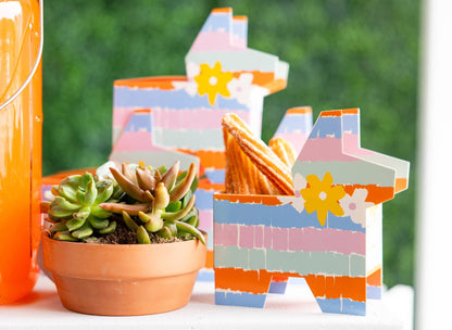 Fiesta Piñata Party Favor Treat Boxes - 6pk