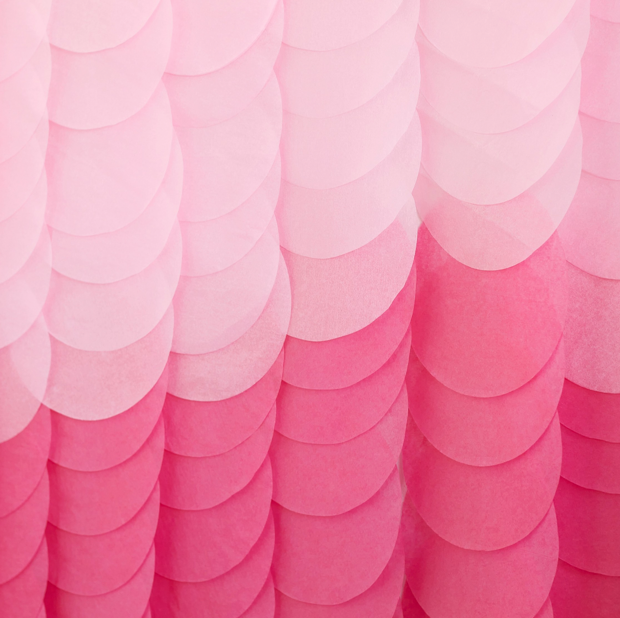 Pink Ombre Tissue Paper Disc Party Backdrop – Très Chic Party Boutique