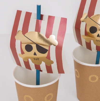 Pirate Ship Cup & Straws Set