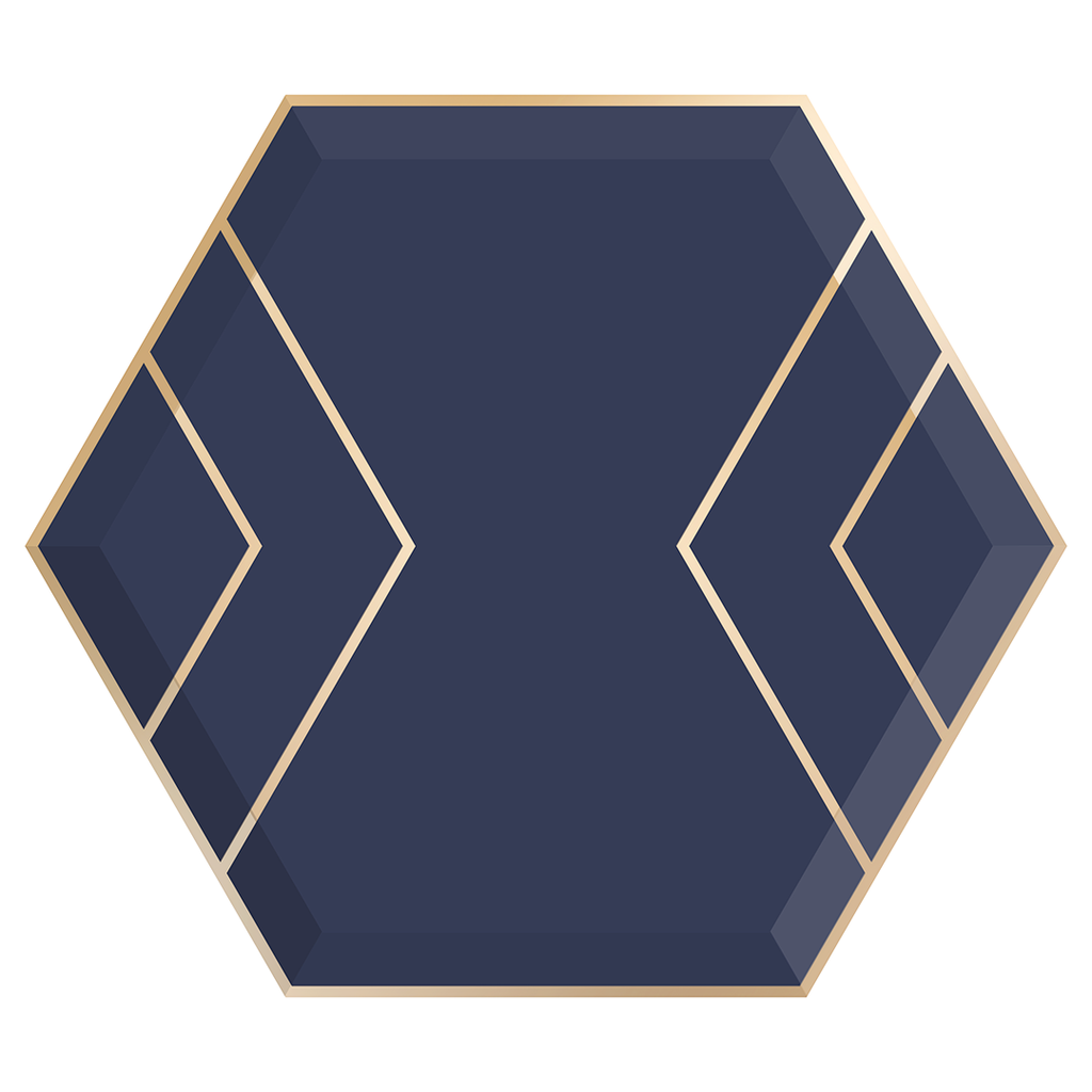 Large Paper Plates - Hexagon - Navy & Gold