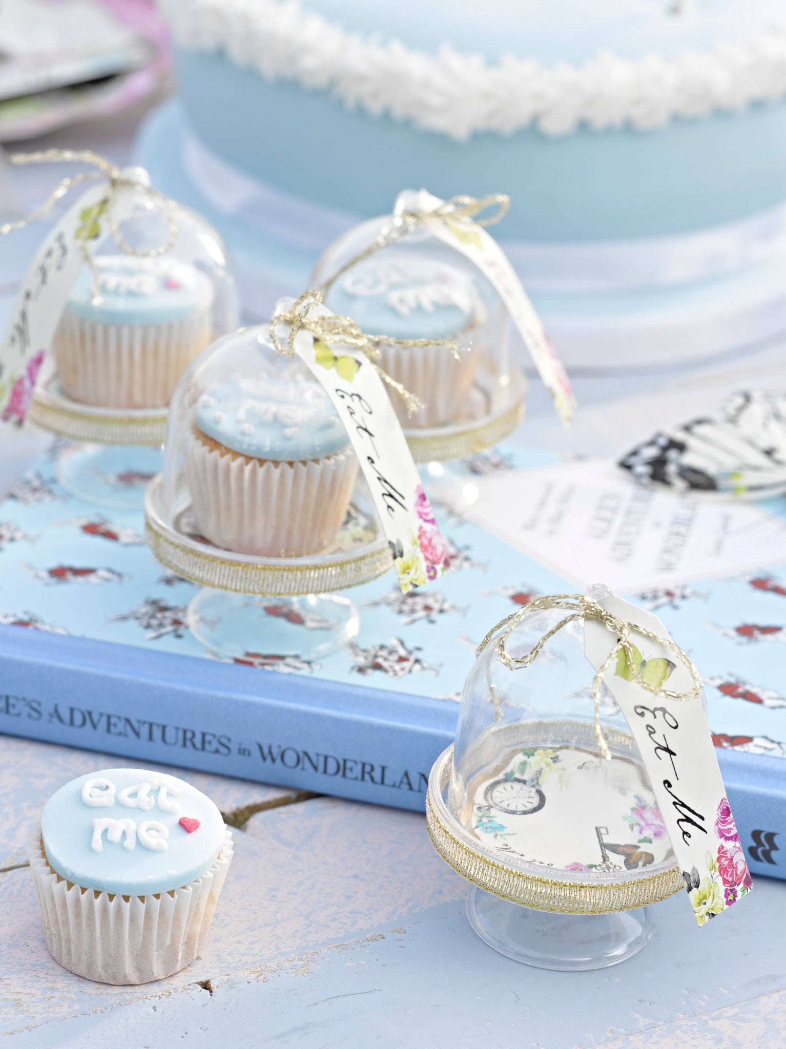 Truly Alice Party Favor Mini Cake Domes - 6 Pack