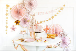 Baby Pink Party Fans