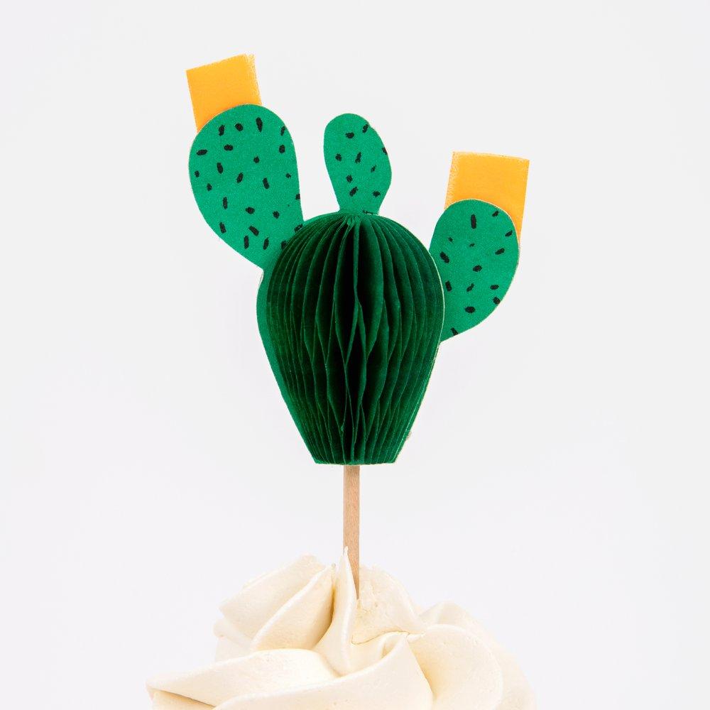 Cactus Cupcake Kit