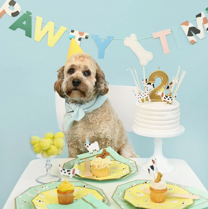 Hot Diggity Dog Small Decagon Paper Party Plates - 10pk
