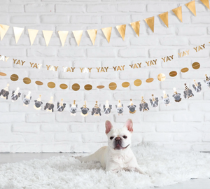 Party Animal Dog Pawty Banner