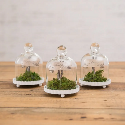 Small Glass Bell Jar Wedding / Party Favor - 4pk