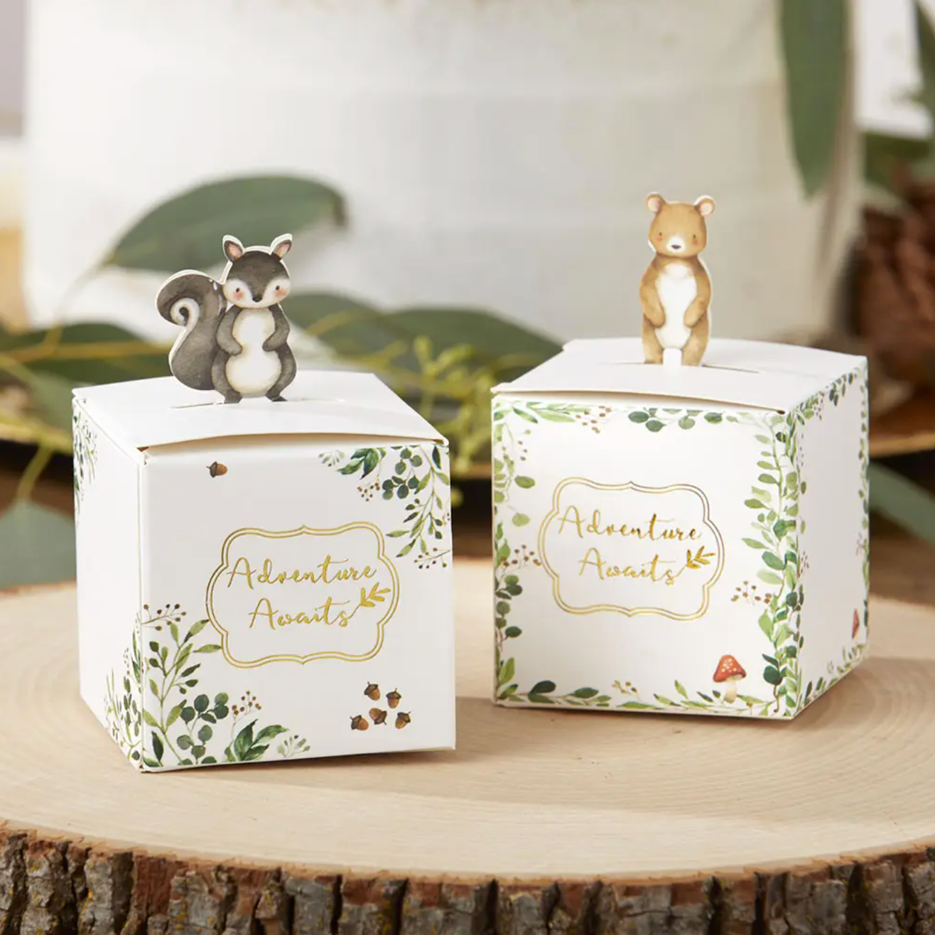 Woodland Animal 'Adventure Awaits' Party Favor Boxes - 24pk